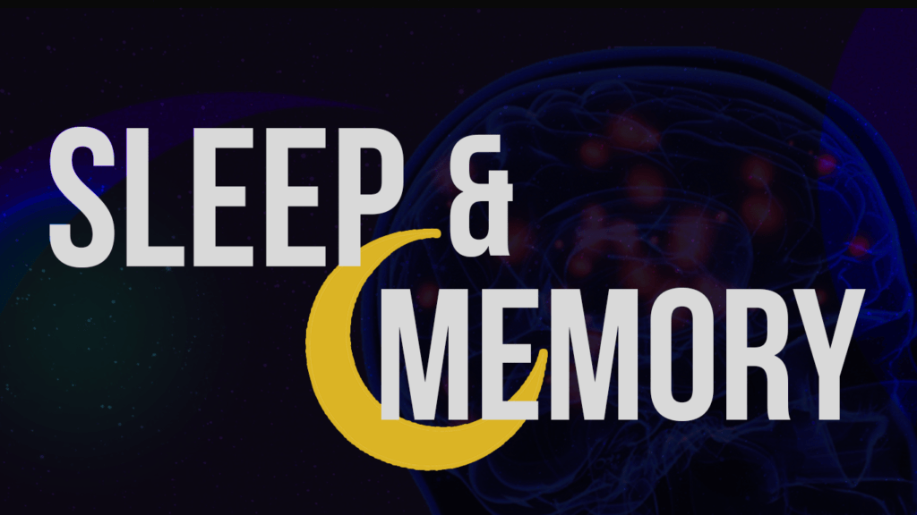 research paper on sleep and memory