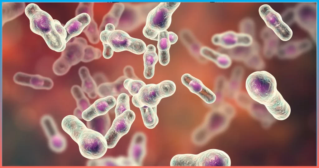 Clostridioides Difficile: Symptoms and Infectious Risk Factors